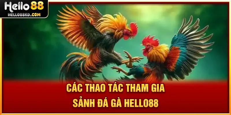 Các thao tác tham gia sảnh Đá Gà HELLO88