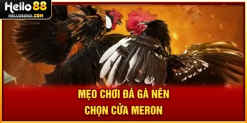 Mẹo Chơi Đá Gà nên chọn cửa Meron
