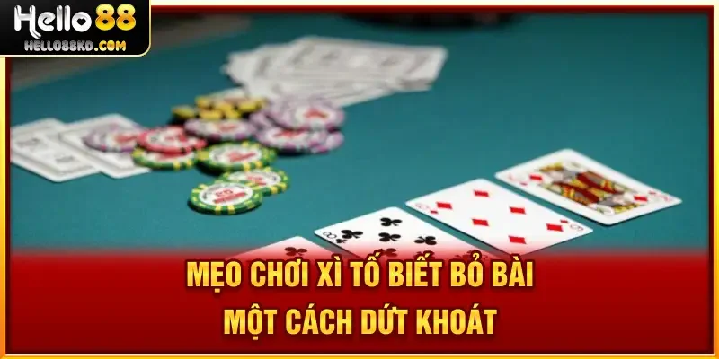 Mẹo Chơi Xì Tố biết bỏ bài một cách dứt khoát