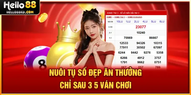 Nuôi tụ số đẹp, ăn thưởng chỉ sau 3-5 ván chơi